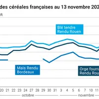 Graphique prix blé maïs orge France au 13 novembre 2025