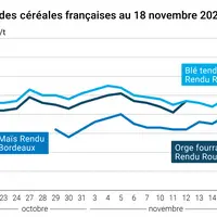 Graphique prix blé orge maïs France au 18 novembre 2024