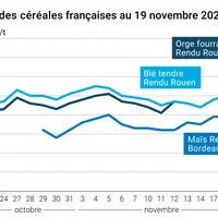 Graphique prix blé maïs orge France au 19 novembre 2025