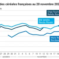 Graphique prix blé maïs orge France au 20 novembre 2025