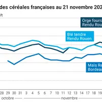 Graphique prix blé maïs orge France au 21 novembre 2025