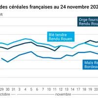 Graphique prix blé maïs orge France au 24 novembre 2025