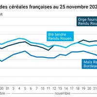Graphique prix blé maïs orge France au 25 novembre 2025