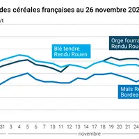 Graphique prix blé maïs orge France au 26 novembre 2025