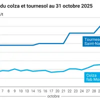 Graphique prix colza tournesol France au 31 octobre 2025