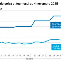 Graphique prix colza tournesol France au 4 novembre 2025