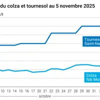Graphique prix colza tournesol France au 5 novembre 2025
