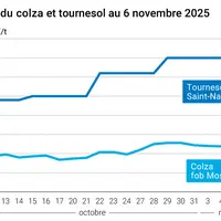 Graphique prix colza tournesol France au 6 novembre 2025