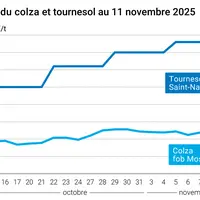 Graphique prix colza tournesol France au 11 novembre 2025