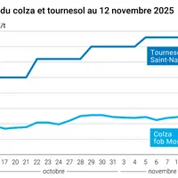 Graphique prix colza tournesol France au 12 novembre 2025