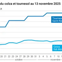 Graphique prix colza tournesol France au 13 novembre 2025