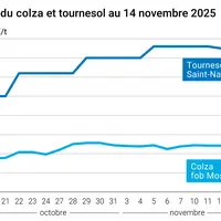 Graphique prix colza tournesol France au 14 novembre 2025