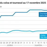 Graphique prix colza tournesol France au 17 novembre 2025