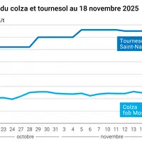 Graphique prix colza tournesol France au 18 novembre 2024