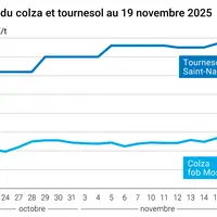 Graphique prix colza tournesol France au 19 novembre 2025