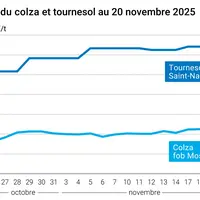 Graphique prix colza tournesol France au 20 novembre 2025