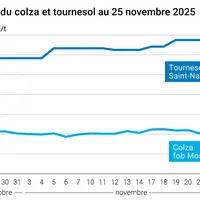 Graphique prix colza tournesol France au 25 novembre 2025