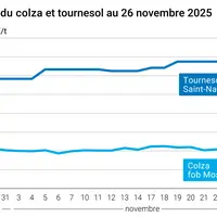 Graphique prix colza tournesol France au 26 novembre 2025