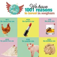 Affiche avec icônes représentant les 1001 raisons de cultiver du sorgho.