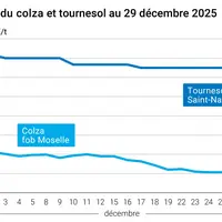 Graphique prix colza tournesol France au 30 décembre 2025