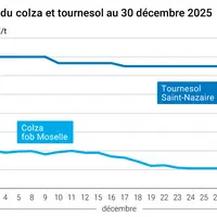 Graphique prix colza tournesol France au 30 décembre 2025
