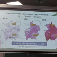 Diapositive d'une présentation lors d'une conférence des JTIC 2025 montrant 3 cartes de risques de production de blé tendre en Beauce