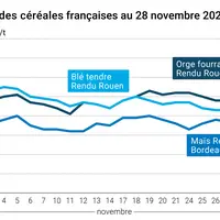 Graphique prix blé orge maïs France au 28 novembre 2025