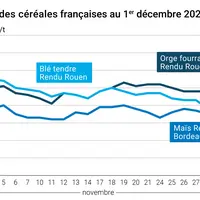Graphique prix blé maïs orge France au 1er décembre 2025