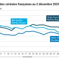 Graphique prix blé maïs orge France au 2 décembre 2025