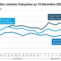 Graphique prix blé orge maïs France au 10 décembre 2025
