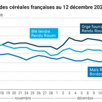 Graphique prix blé orge maïs France au 12 décembre 2025