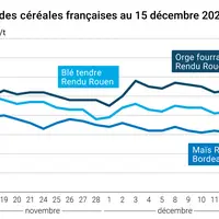 Graphique prix blé orge maïs France au 15 décembre 2025