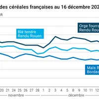 Graphique prix blé maïs orge France au 16 décembre 2025