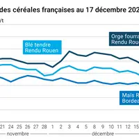 Graphique prix blé maïs orge France au 17 décembre 2025