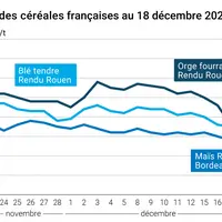 Graphique prix blé maïs orge France au 18 décembre 2025