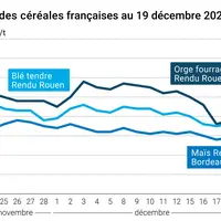 Graphique prix blé orge maïs France au 19 décembre 2025