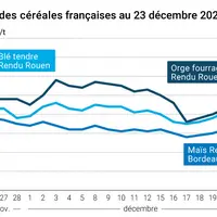 Graphique prix blé maïs orge France au 23 décembre 2025