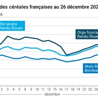 Graphique prix blé maïs orge France au 26 décembre 2025