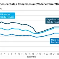 Graphique prix blé maïs orge France au 30 décembre 2025