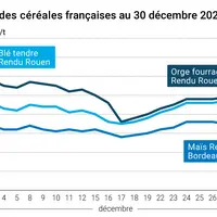 Graphique prix blé maïs orge France au 30 décembre 2025