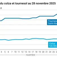 Graphique prix colza tournesol France au 28 novembre 2025