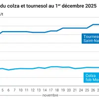 Graphique prix colza tournesol France au 1er décembre 2025