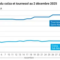 Graphique prix colza tournesol France au 2 décembre 2025