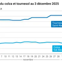Graphique prix colza tournesol France au 3 décembre 2025