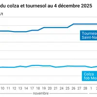 Graphique prix colza tournesol France au 4 décembre 2025