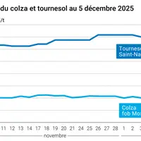 Graphique prix colza tournesol France au 5 décembre 2025