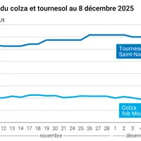 Graphique prix colza tournesol France au 8 décembre 2025