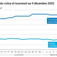 Graphique prix colza tournesol France au 9 décembre 2025