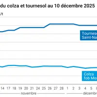 Graphique prix colza tournesol France au 10 décembre 2025