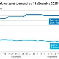 Graphique prix colza tournesol France au 11 décembre 2025